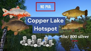 Active spot no PVA Copper Lake  Russian Fishing 4  RF4 [upl. by Bloxberg58]