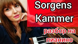 Sorgens Kammer Dimmu Borgir РАЗБОР на ПИАНИНОУроки фортепиано для взрослых [upl. by Naves]