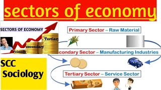 Economic sectors  primary secondary tertiary and Quinary sectors Brains theory [upl. by Murvyn829]