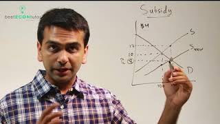 Microeconomics Subsidy [upl. by Wampler]