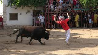 ▶😍 IMPONENTES Y ESPECTACULARES TOROS BRAVOS  VALFERMOSO DE TAJUÑA 2022 [upl. by Kliman]