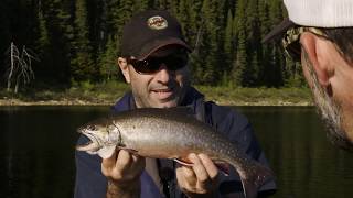 Chasse et pêche à la Pourvoirie QuébecNature [upl. by Ytnom]