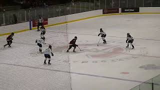 Sarah Bujold of PWHL Montreal scores vs Toronto 12024 [upl. by Kutzer170]