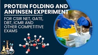 Protein folding and anfinsen experiment youtube science msc ncert jrf bsc yt [upl. by Pavyer781]