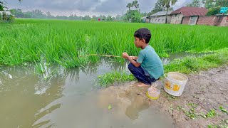 Best Fishing Video 🎣🐟 Village Rice Field Fishing in flood waters  Catching Koi Fish By Hook [upl. by Ssyla]