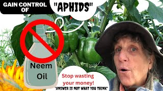 quotStop using Neemquot to control Aphids The aphid is a messenger [upl. by Codie734]