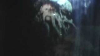 Davy Jones  Homemade Fog Screen [upl. by Wendelin]