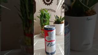 Budweiser alcohol free beer Saturday minivlog Non alcoholic beer ❤️😎 [upl. by Atsyrk463]