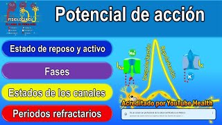 POTENCIAL DE ACCIÓN resumido  Potencial de acción neuronal  Potencial de acción fisiología [upl. by Symons789]