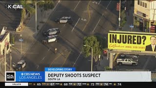 LASD deputy shoots suspect in South Los Angeles [upl. by Higinbotham871]