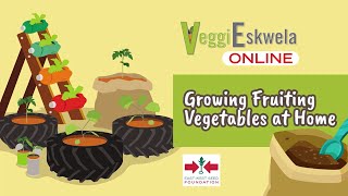 Episode 5 Growing Fruiting Vegetables at Home [upl. by Akemej]