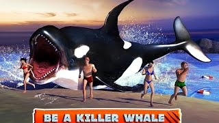 Killer whale that unalived a female trainer in seaworld orlando orca truestory wildanimals [upl. by Annai]