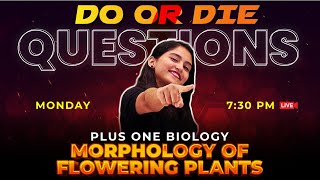 Plus One Biology  Do or Die Questions  Morphology of Flowering Plants  Chapter 5  Exam Winner [upl. by Giuliana515]