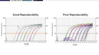 Key Steps for Generating RealTime PCR Data that Conforms to MIQE Guidelines Part 3 of 4 [upl. by Calista57]