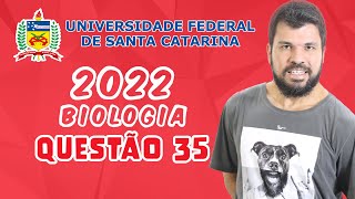 UFSC 2022  Questão 35  Organismos eucariontes e procariontes apresentam semelhanças e diferenças [upl. by Iddo]