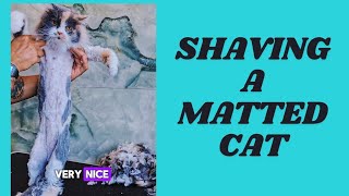 Shaving A Matted Cat [upl. by Maziar904]