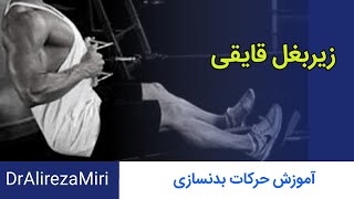 تا امروز زیر بغل قایقی رو اشتباه میرفتی [upl. by Lahsram]