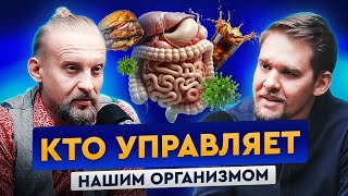 Они управляют нашим организмом Секрет здорового кишечника Лучшие пробиотики ДМИТРИЙ АЛЕКСЕЕВ [upl. by Ailenroc]