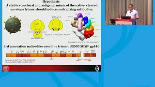 Broadly neutralizing antibodies bNabs Towards a cure and vaccine [upl. by Alrahs]