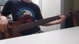 Deadeye Dick  New Age Girl bass cover [upl. by Edrick]