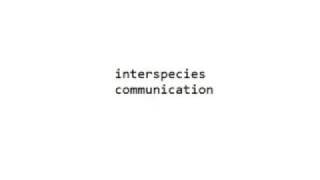 interspecies communication with Anna Breytenbach [upl. by Eelirak]