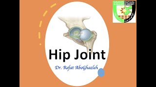 Anatomy of Hip Joint [upl. by Noyart]