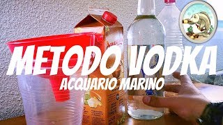 Acquario Marino  Metodo VODKA [upl. by Teria]