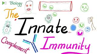 The Innate Immunity and the Complement System  Immunology [upl. by Eznyl58]