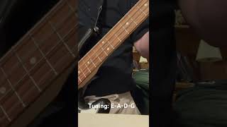 Pardon Me by Incubus bass cover [upl. by Vandyke]