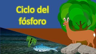 Ciclo del fósforo  Ciclos biogeoquímicos [upl. by Ishii13]