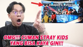 Stray Kids quotChk Chk Boomquot MV REACTION [upl. by Haines]