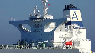 SHIPSPOTTING 2024  Arrival and Departure Compilation Rotterdam [upl. by Yelich]