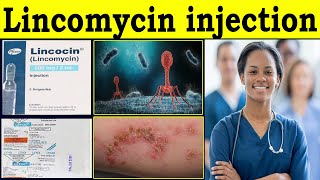 Lincomycin injection  Lynx injection kis kaam aata hai  lincomycin injection uses  Dose benefit [upl. by Hamehseer]