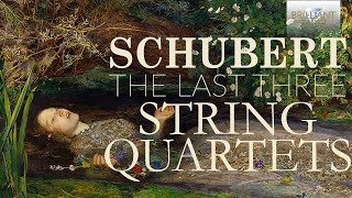 Schubert The Last Three String Quartets [upl. by Nataline]