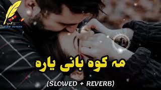 Pashto new songs Slwo Reverb songs 2024 Pashto song [upl. by Yelkao]