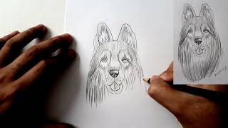 Come disegnare un cane [upl. by Annaerda]