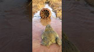 Survival Skills Simple and Useful with Clay Frog Trap survival bushcraft camping shrots [upl. by Press]