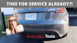 Tesla Model Y Mobile Service  Valentine One Radar Detector Install  HomeLink Setup [upl. by Sheehan844]