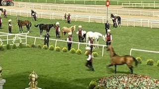 Akhal Teke stallion Yanardag  Turkmenistans pride [upl. by Fey358]