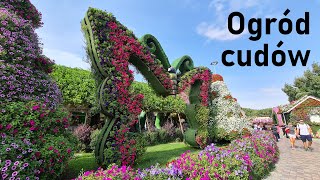 Baśniowe ogrody Dubaju Dubai Miracle Garden [upl. by Cerys]