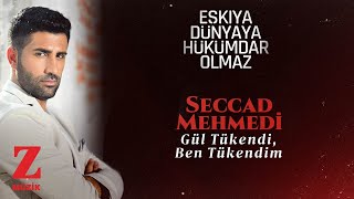 Seccad Mehmedi  Gül Tükendi Ben Tükendim  EDHO Dizi Müziği © 2020 Z Müzik [upl. by Nylyrehc]