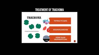 Treatment of trachoma trachomatis trachoma infection pharmacology [upl. by Hasile]