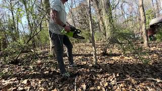 Greenworks 40V 14quot Chainsaw Review [upl. by Lyj]