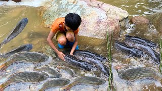 Full video Catch Fish Create Fish Traps go to the market to sell fish in exchange for a puppy [upl. by Merrick97]