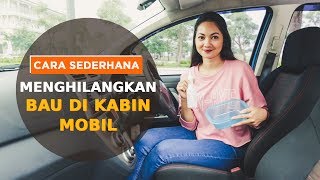 SAHABAT CERDIK  Cara Sederhana Menghilangkan Bau di Kabin Mobil Ala Diandra Gautama amp Daihatsu [upl. by Ecidnak14]