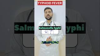 Typhoid Fever 🤒Treatment Typhoid Symptoms shorts viralvideo studentlife motivation neet [upl. by Ahsaele]