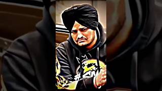 The Best Song Punjabi Sidhu Moose Wala Viral Shorts [upl. by Keir241]