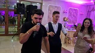 Shaban Regele Din Banat  Fetele mele ca doua lalele Live 2024 [upl. by Carlyn]