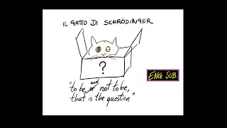 Il paradosso del gatto di Schrödinger e come mai in pochi ne comprendono il significato [upl. by Eelahs]