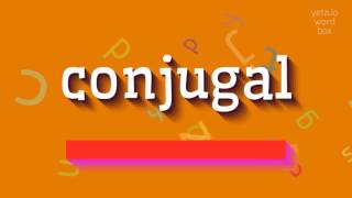 CONJUGAL  HOW TO PRONOUNCE CONJUGAL conjugal [upl. by Refotsirc]